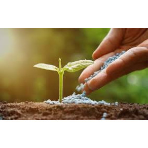 রাসায়নিক সার