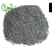 ফসফেট সার ফসফেট সার