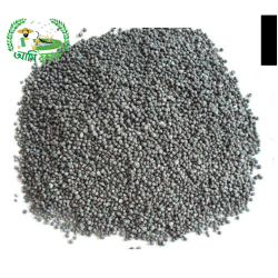 ফসফেট সার