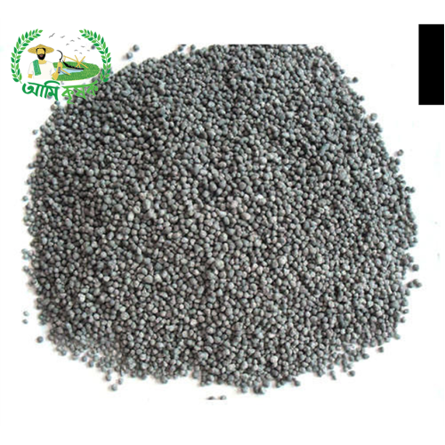 ফসফেট সার