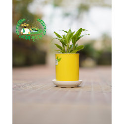 ইনডোর টব ইনডোর টব