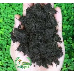 সবুজ সার সবুজ সার