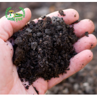 হাড়ের গুঁড়া হাড়ের গুঁড়া