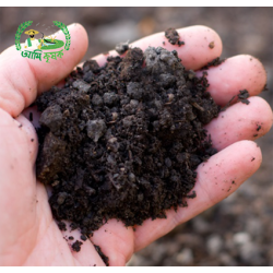 হাড়ের গুঁড়া হাড়ের গুঁড়া